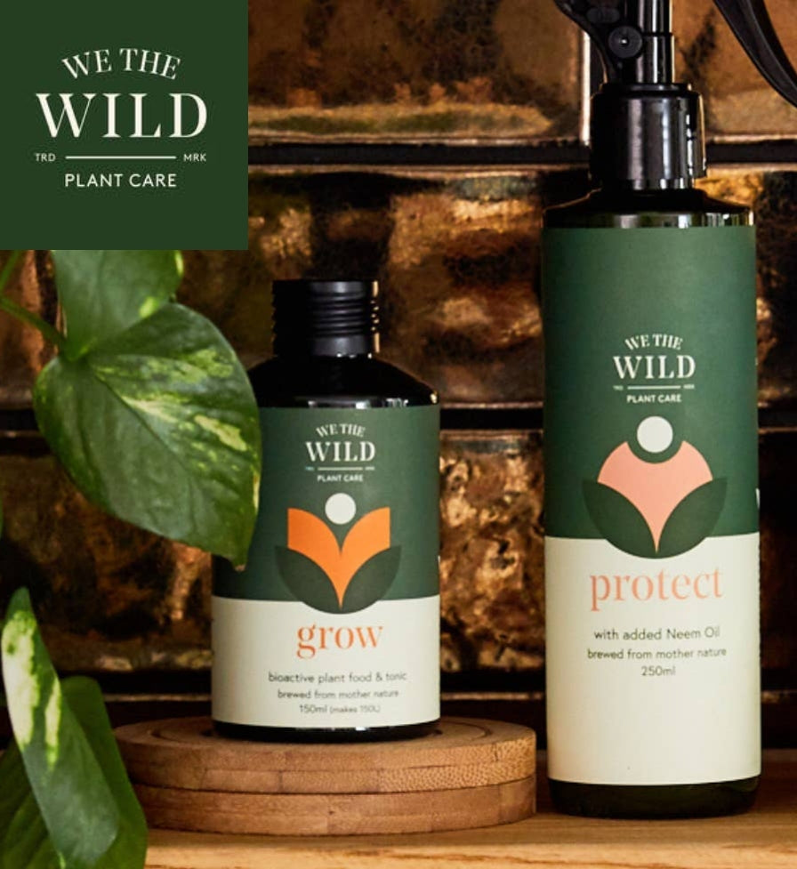We the Wild Plant Care